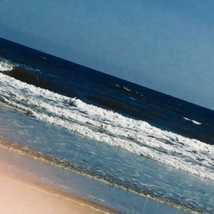 Meet your Posher, Logan